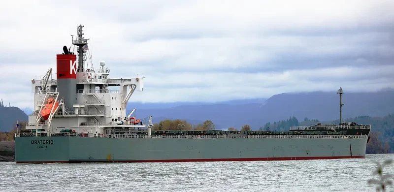 ORATORIO Bulk Carrier IMO 9687679 photo 5