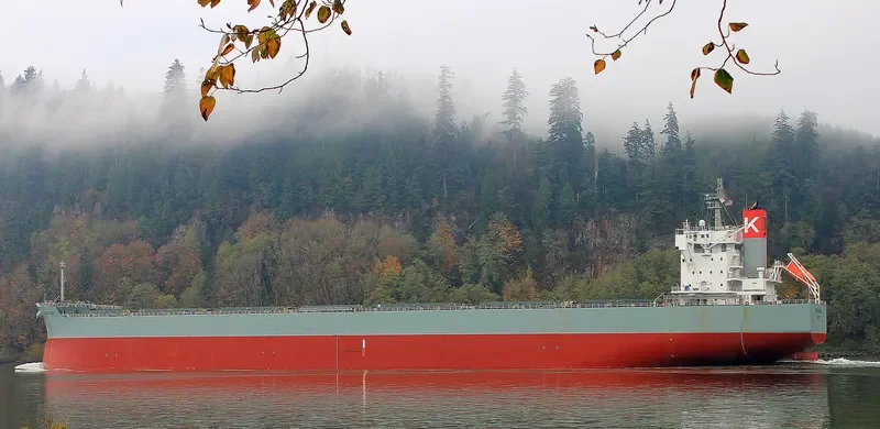 ORATORIO Bulk Carrier IMO 9687679 photo 8