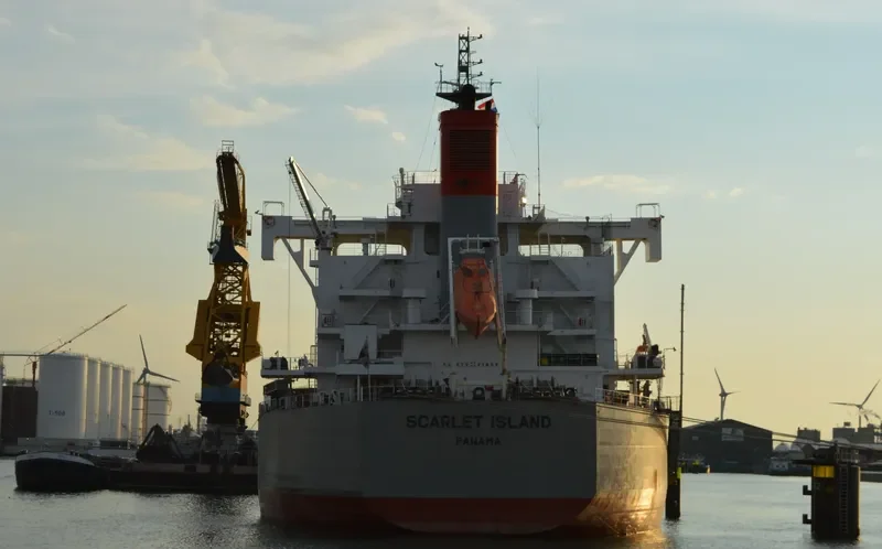 SCARLET ISLAND Bulk Carrier IMO 9687681