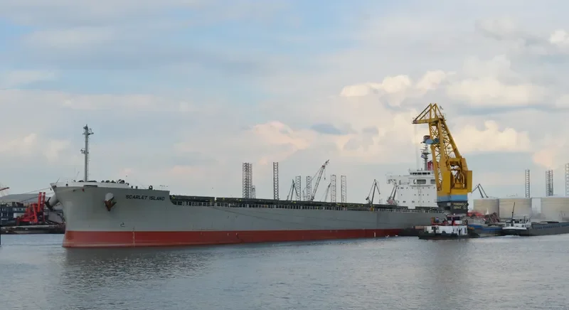 SCARLET ISLAND Bulk Carrier IMO 9687681 photo 2