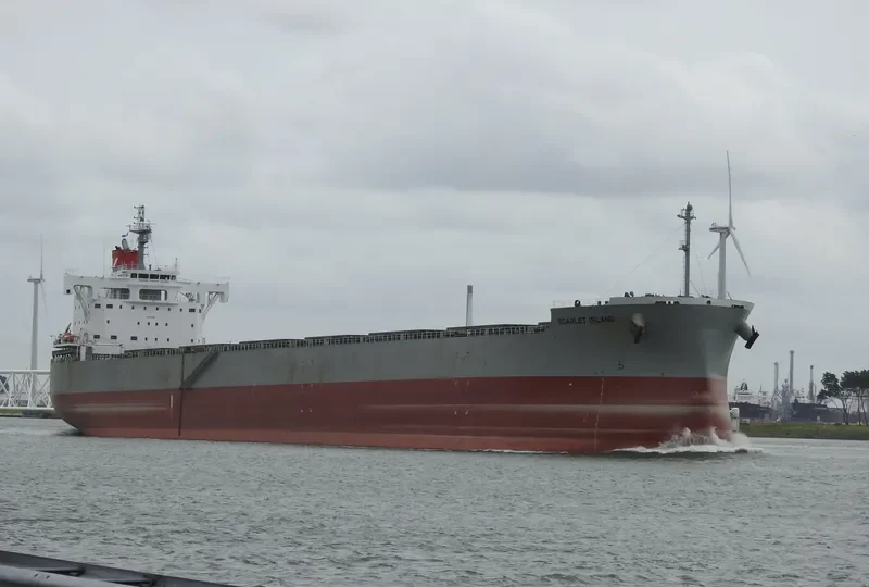 SCARLET ISLAND Bulk Carrier IMO 9687681 photo 3