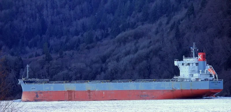 SCARLET ISLAND Bulk Carrier IMO 9687681 photo 4