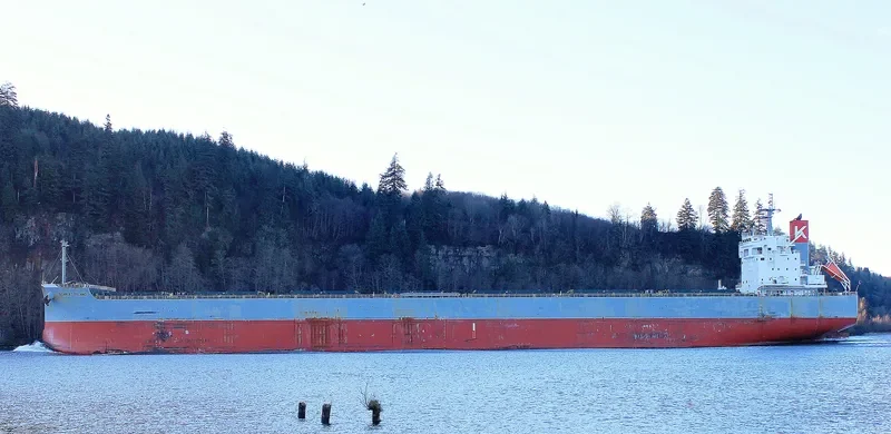 SCARLET ISLAND Bulk Carrier IMO 9687681 photo 5