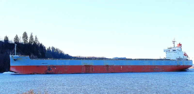 SCARLET ISLAND Bulk Carrier IMO 9687681 photo 6