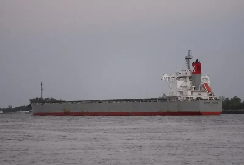 SCARLET ISLAND Bulk Carrier IMO 9687681 photo 7