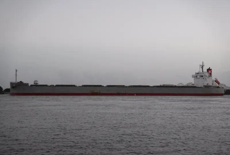 SCARLET ISLAND Bulk Carrier IMO 9687681 photo 8