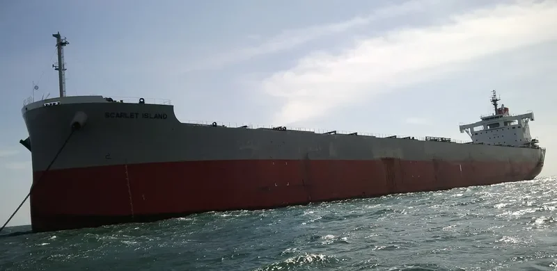 SCARLET ISLAND Bulk Carrier IMO 9687681 photo 10