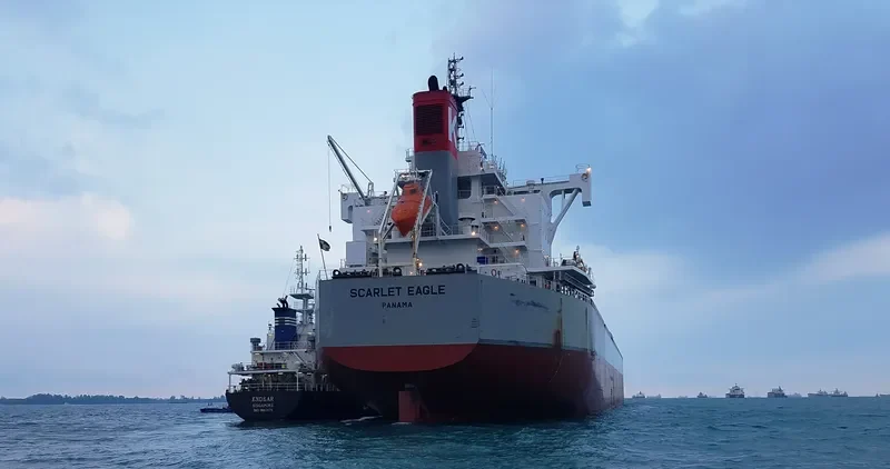 SCARLET EAGLE Bulk Carrier IMO 9687693