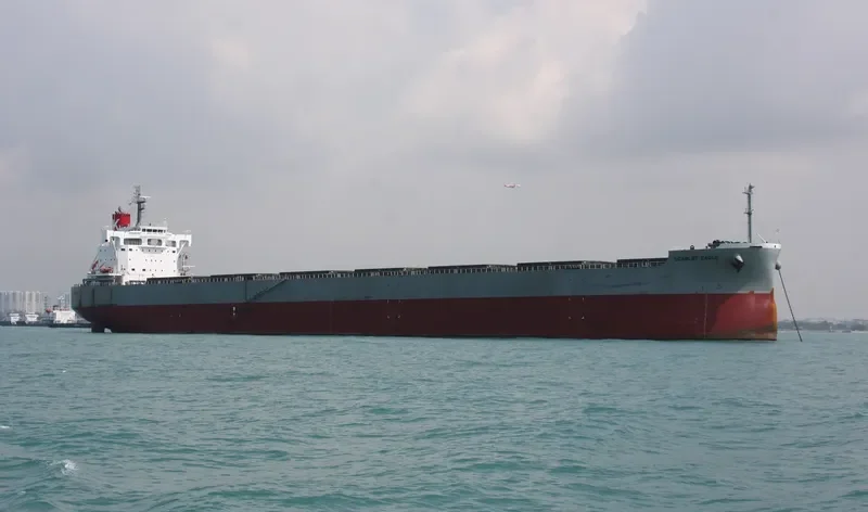 SCARLET EAGLE Bulk Carrier IMO 9687693 photo 2