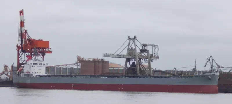 SCARLET EAGLE Bulk Carrier IMO 9687693 photo 3