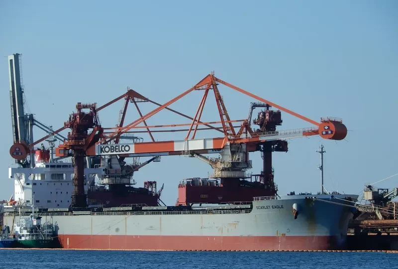 SCARLET EAGLE Bulk Carrier IMO 9687693 photo 4