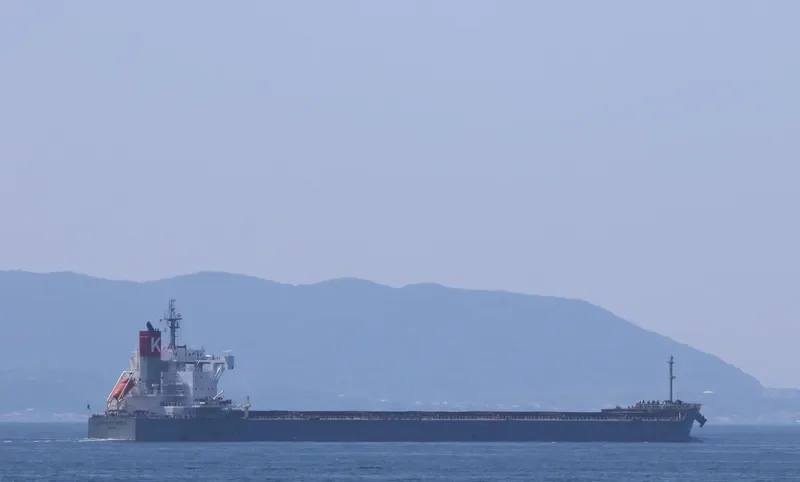 SCARLET EAGLE Bulk Carrier IMO 9687693 photo 5