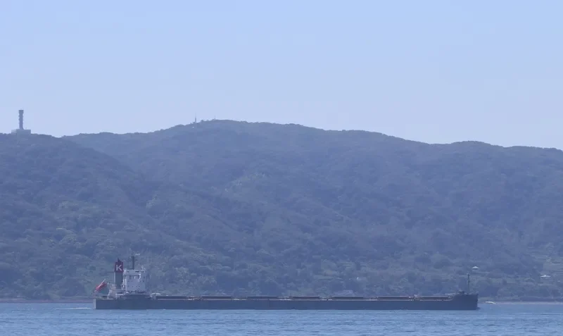SCARLET EAGLE Bulk Carrier IMO 9687693 photo 6