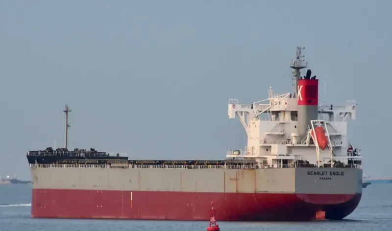 SCARLET EAGLE Bulk Carrier IMO 9687693 photo 7