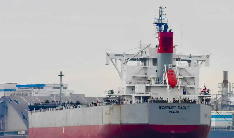 SCARLET EAGLE Bulk Carrier IMO 9687693 photo 8