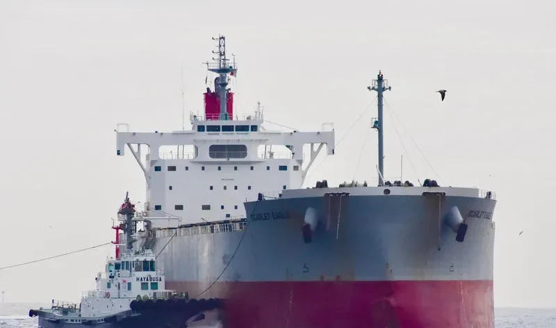 SCARLET EAGLE Bulk Carrier IMO 9687693 photo 9
