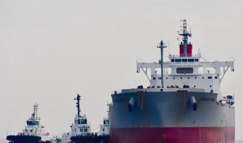 SCARLET EAGLE Bulk Carrier IMO 9687693 photo 10