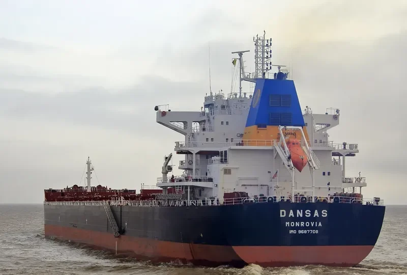 TOMINI BRAVERY Bulk Carrier IMO 9687708