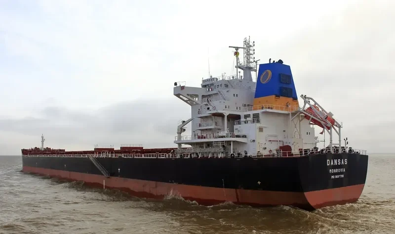 TOMINI BRAVERY Bulk Carrier IMO 9687708 photo 2
