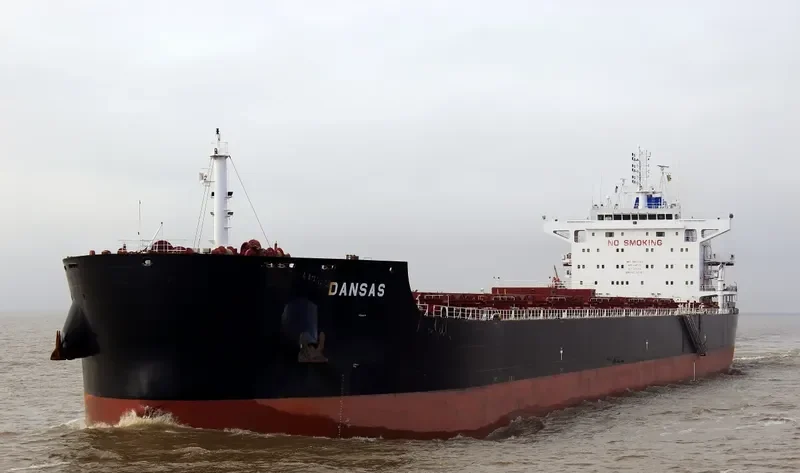 TOMINI BRAVERY Bulk Carrier IMO 9687708 photo 3