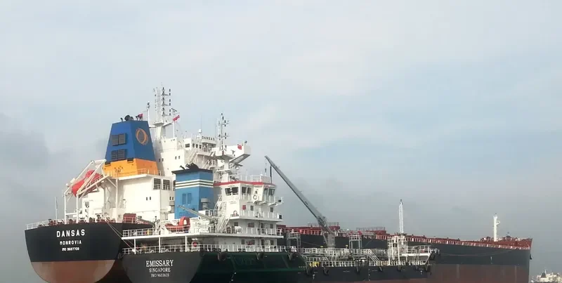 TOMINI BRAVERY Bulk Carrier IMO 9687708 photo 4