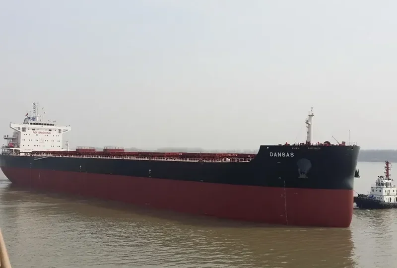 TOMINI BRAVERY Bulk Carrier IMO 9687708 photo 5
