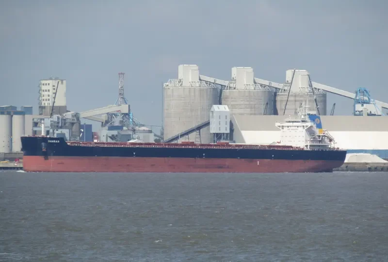 TOMINI BRAVERY Bulk Carrier IMO 9687708 photo 6