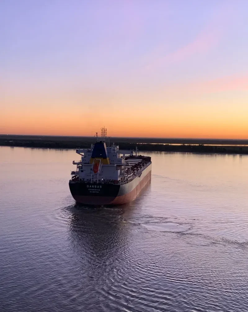 TOMINI BRAVERY Bulk Carrier IMO 9687708 photo 7