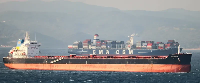 TOMINI BRAVERY Bulk Carrier IMO 9687708 photo 8