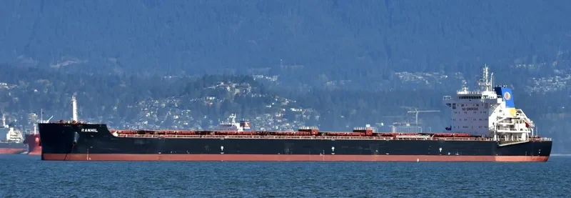MAGIC STARLIGHT Bulk Carrier IMO 9687710