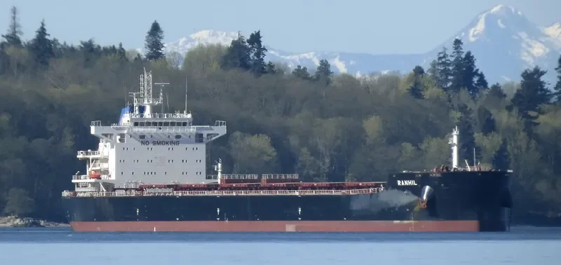 MAGIC STARLIGHT Bulk Carrier IMO 9687710 photo 2