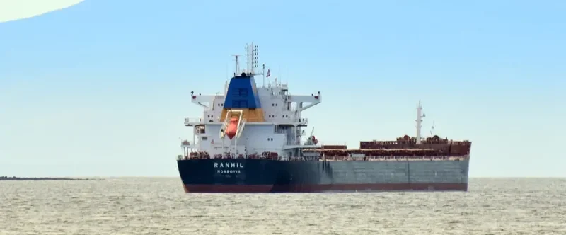 MAGIC STARLIGHT Bulk Carrier IMO 9687710 photo 3