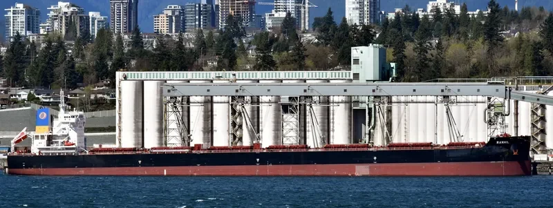 MAGIC STARLIGHT Bulk Carrier IMO 9687710 photo 4