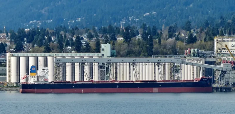 MAGIC STARLIGHT Bulk Carrier IMO 9687710 photo 5