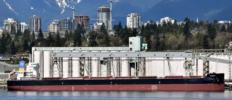 MAGIC STARLIGHT Bulk Carrier IMO 9687710 photo 6