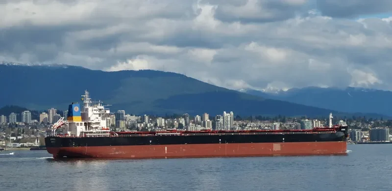 MAGIC STARLIGHT Bulk Carrier IMO 9687710 photo 7