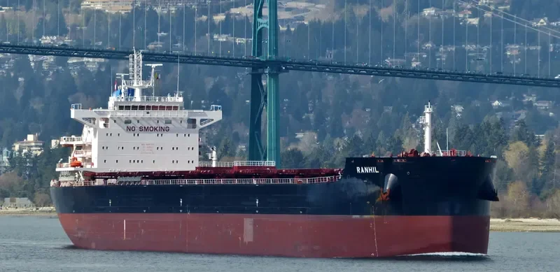 MAGIC STARLIGHT Bulk Carrier IMO 9687710 photo 8