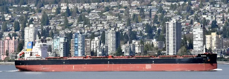 MAGIC STARLIGHT Bulk Carrier IMO 9687710 photo 9