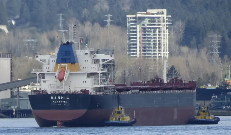 MAGIC STARLIGHT Bulk Carrier IMO 9687710 photo 10