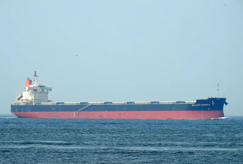 BRILLIANT ADVANCE Bulk Carrier IMO 9687722