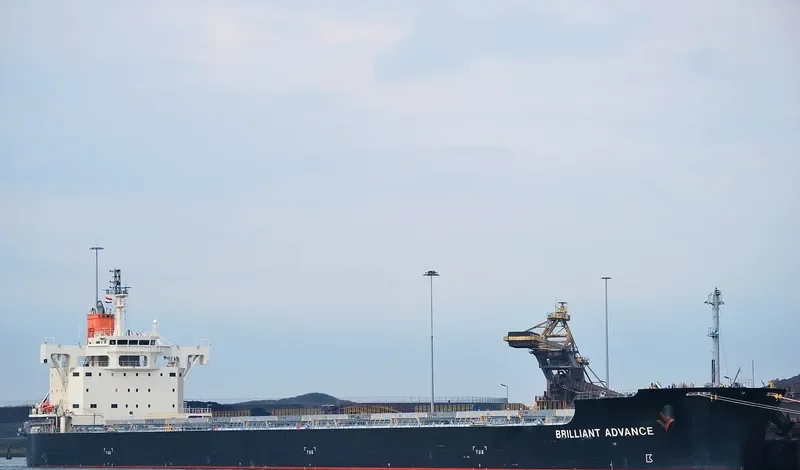 BRILLIANT ADVANCE Bulk Carrier IMO 9687722 photo 2