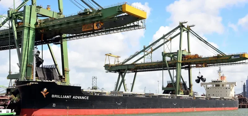 BRILLIANT ADVANCE Bulk Carrier IMO 9687722 photo 3