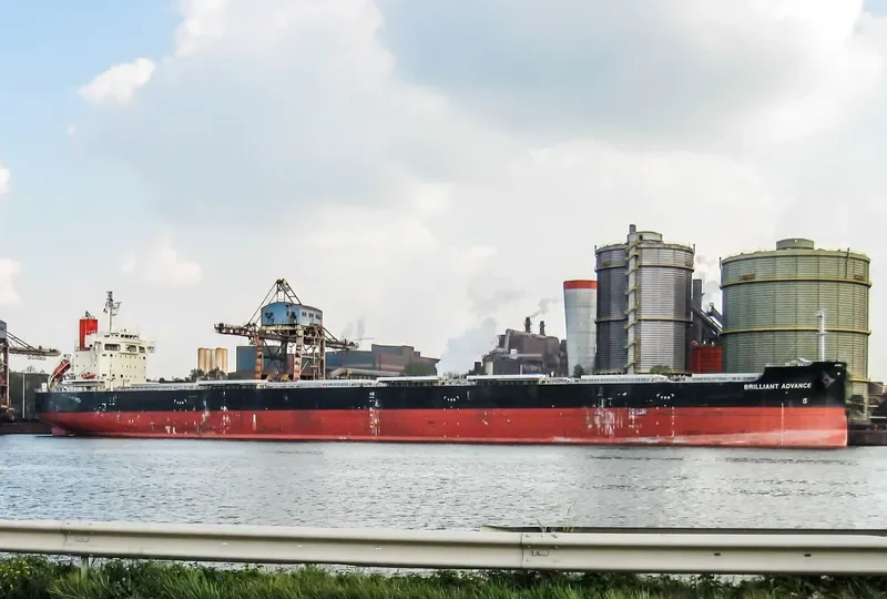 BRILLIANT ADVANCE Bulk Carrier IMO 9687722 photo 4