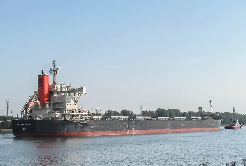 BRILLIANT ADVANCE Bulk Carrier IMO 9687722 photo 5