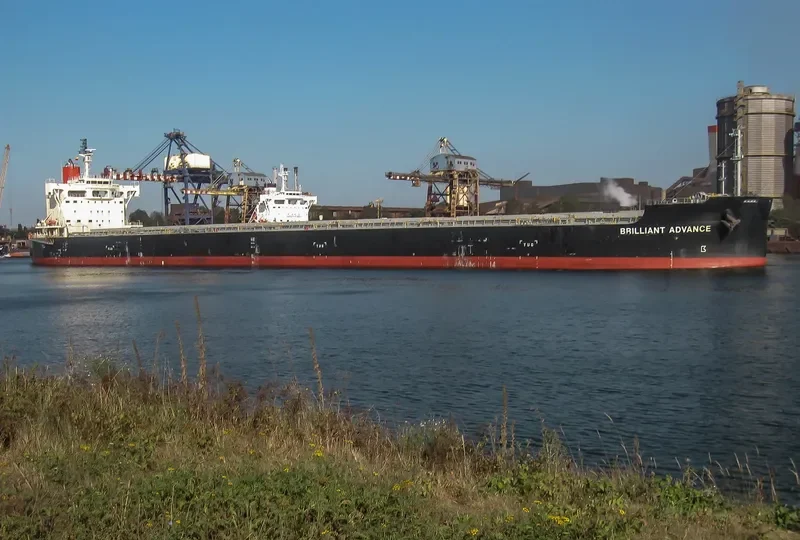BRILLIANT ADVANCE Bulk Carrier IMO 9687722 photo 6
