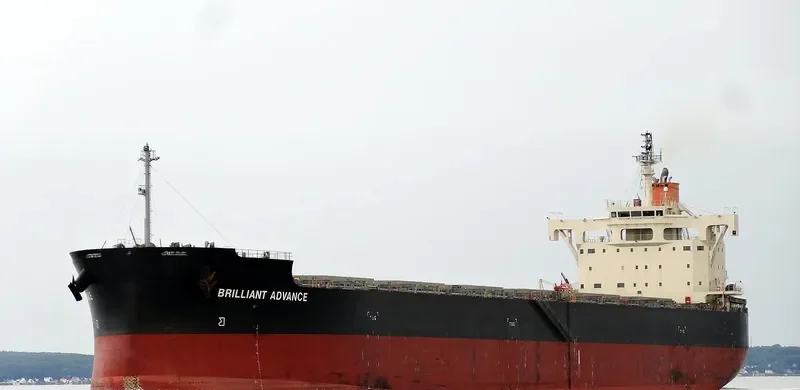 BRILLIANT ADVANCE Bulk Carrier IMO 9687722 photo 8