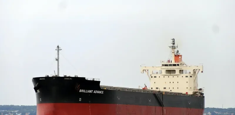 BRILLIANT ADVANCE Bulk Carrier IMO 9687722 photo 9