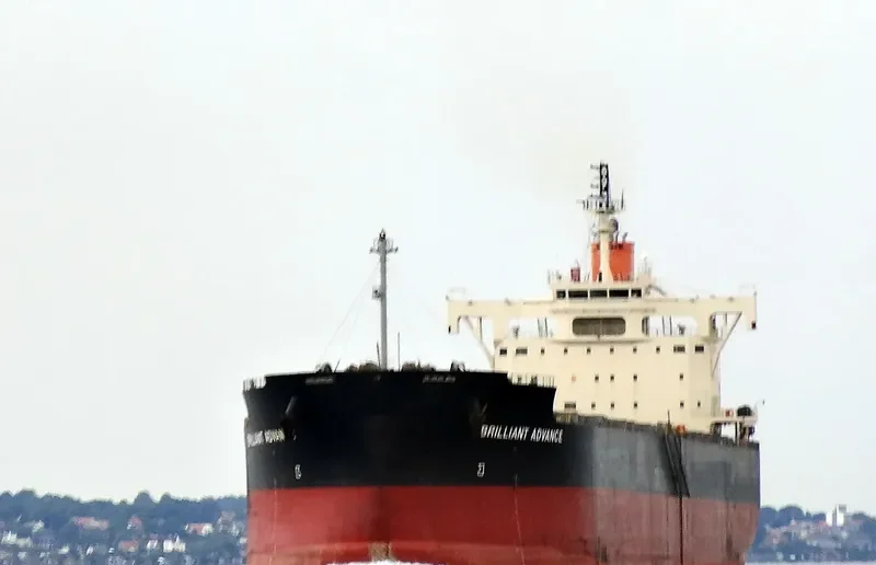 BRILLIANT ADVANCE Bulk Carrier IMO 9687722 photo 10