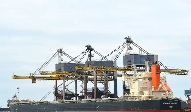 BRILLIANT DISCOVERY Bulk Carrier IMO 9687734