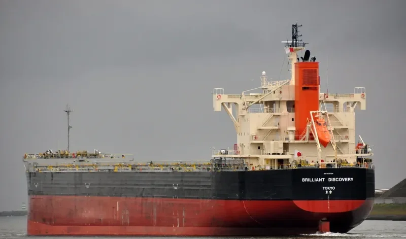 BRILLIANT DISCOVERY Bulk Carrier IMO 9687734 photo 3